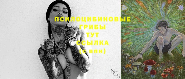 ешки Лабытнанги